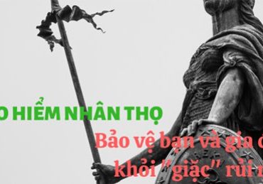 Bảo hiểm nhân thọ bảo vệ bạn và gia đình bạn khỏi giặc rủi ro