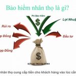 ? TỜ GIẤY & CUỘC ĐỜI ?