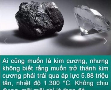 Ai cũng muốn là kim cương...